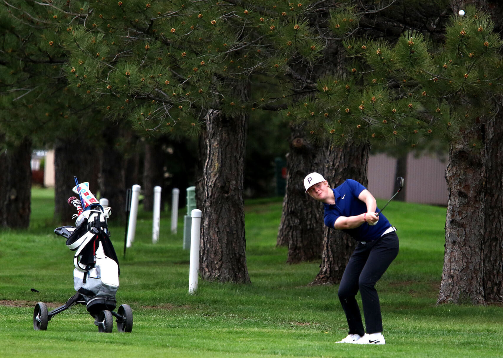 060722-golf5.jpg